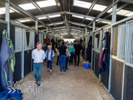 DS091023-74 - Dan Skelton stable visit